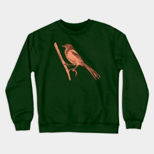 Western Scrub Jay Linocut Style Crewneck Sweatshirt